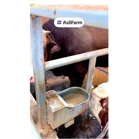 3 mm - 12 Litre Özel Sıcak Galvaniz Hayvan Suluğu