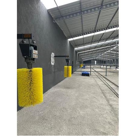 İnek Kaşıma Makinesi - Kaşağı